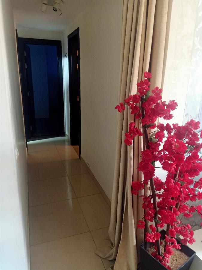 Fully Furnished Apartment At Ocean Blue Compound Каїр Екстер'єр фото